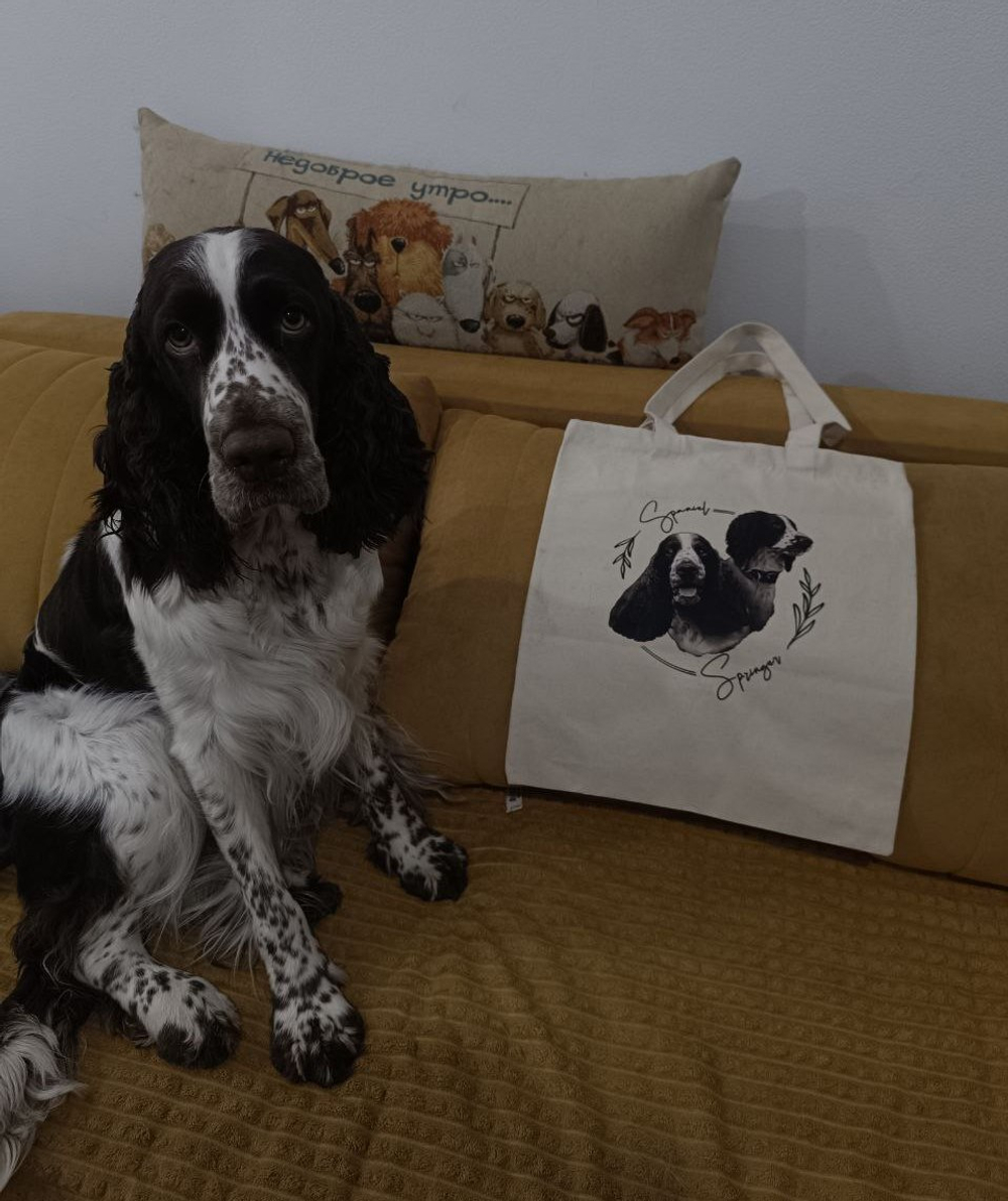 Шоппер прочный Эксклюзивный дизайн (сумка на плечо)