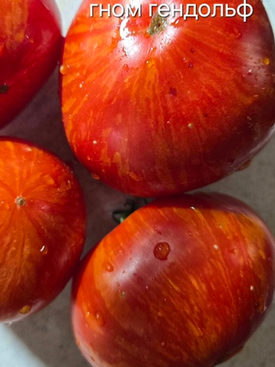 ГНОМ ГЕНДОЛЬФ