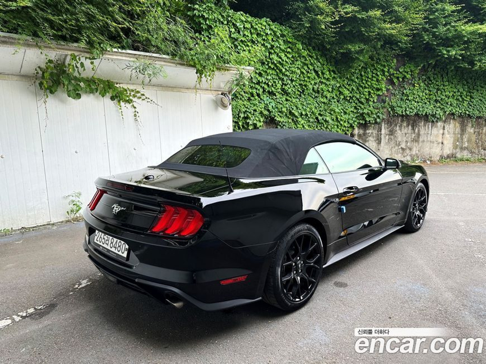 Ford Mustang Convertible (01.2020)