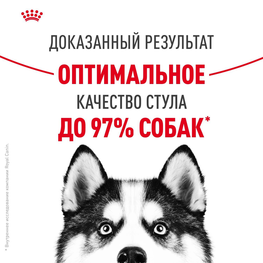 Royal Canin Maxi Digestive Care Корм сухой для взрослых собак больших размеров с чувствительным пищеварением 3 кг