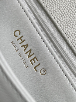 Chanel Bag 19 cm
