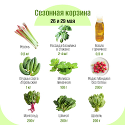 Сезонная корзина