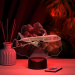 Светильник "Самолёт МС-21"