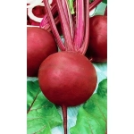 Семена Свекла Цыганка (УД) Е/П