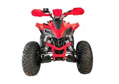 Квадроцикл YACOTA Typhoon 250LD