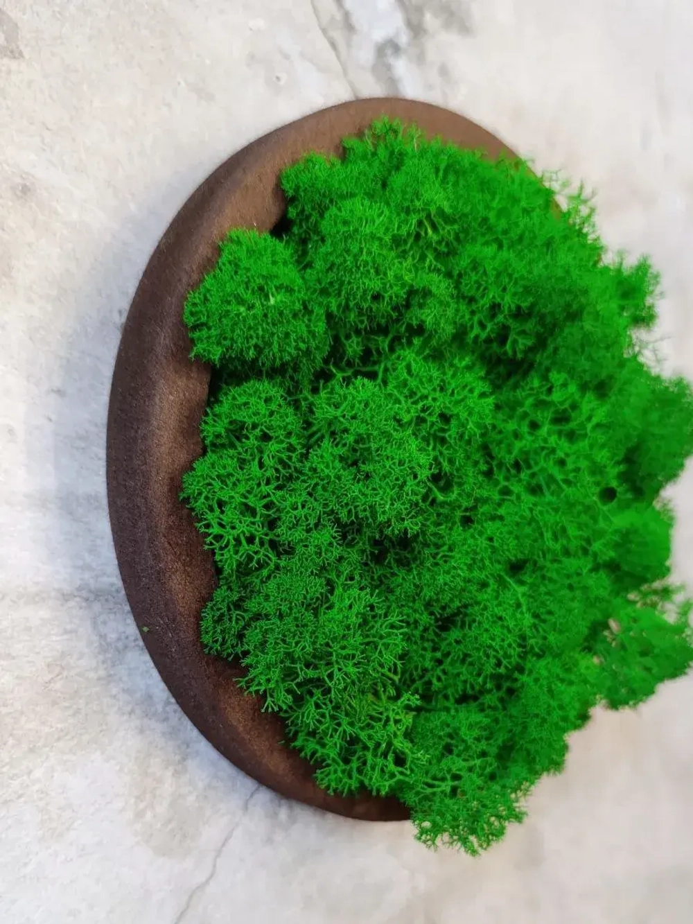 Панно из мха набор 3 шт.