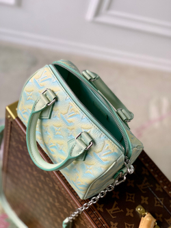 Louis Vuitton Speedy 20