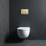 Кнопка смыва для инсталляции механическая WONZON & WOGHAND, Брашированное золото (WW-IB235-BG)