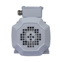 Электродвигатель ESQ PR 100 LB4-SDN-Б1-S12-IE3 3/1500 IMB34