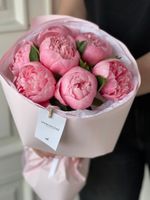 Букет 7шт пионов