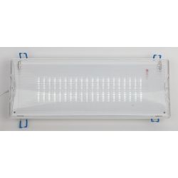 Аварийный светильник светодиодный ЭРА DPA-301-0-65 непостоянный 40LED 3ч IP65
