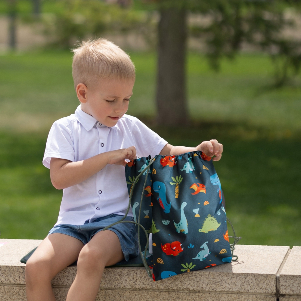 Набор для детского сада: кармашек, коврик, мешок. Динозавры принт