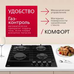 Газовая панель Hansa BHKS610301