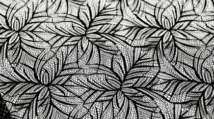 Новинки сеток