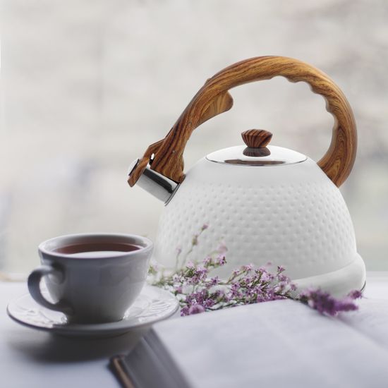 Чайник 2,7 л. из нержавеющей стали со свистком Ofenbach NB 100305