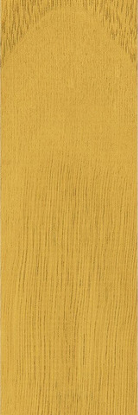 41zero42 Technicolor Senape 5x37.5