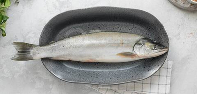 Голец мороженый