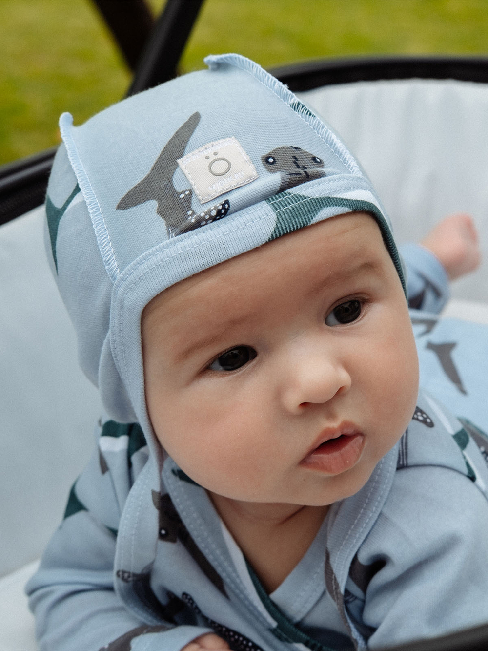 Чепчик Mjölk Акулы