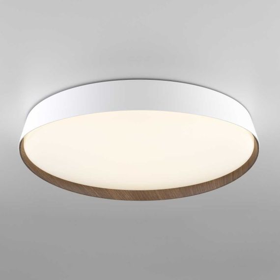 Потолочный светодиодный светильник Citilux Bonny CL754450G