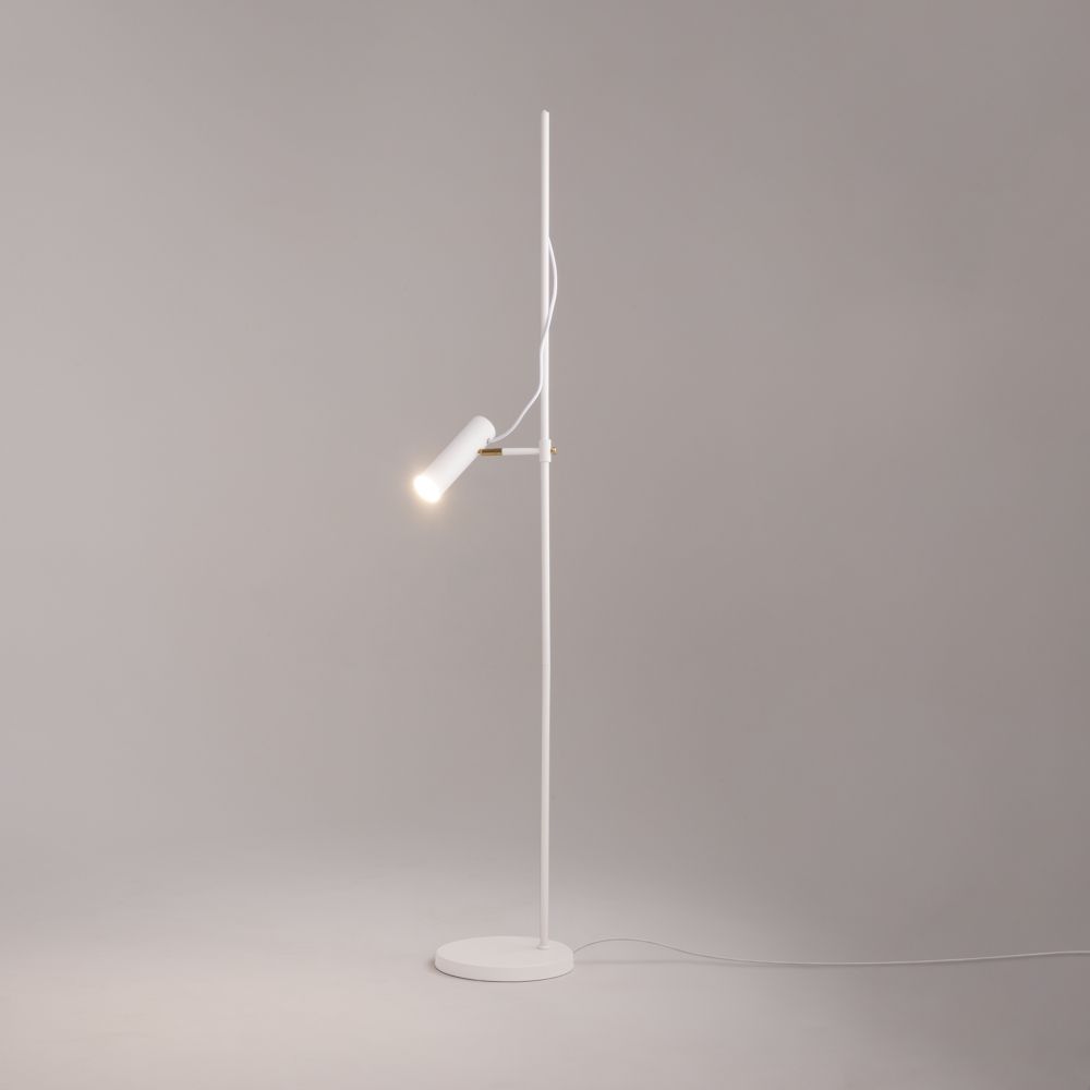 Напольный светильник (торшер) Maytoni MOD129FL-01W