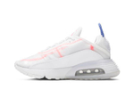 Кроссовки Nike Air Max 2090 (Женская размерная сетка)