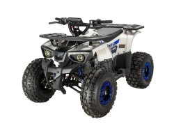 Квадроцикл Avantis CLASSIC 8 NEW