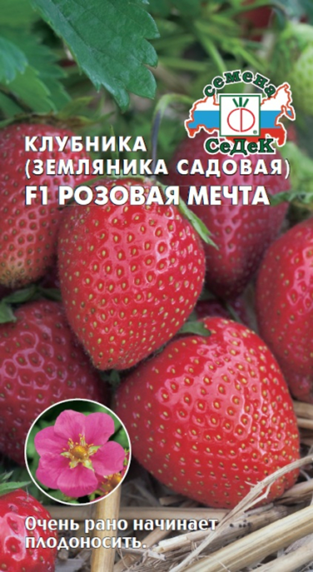 Клубника Розовая мечта F1 (земляника садовая)