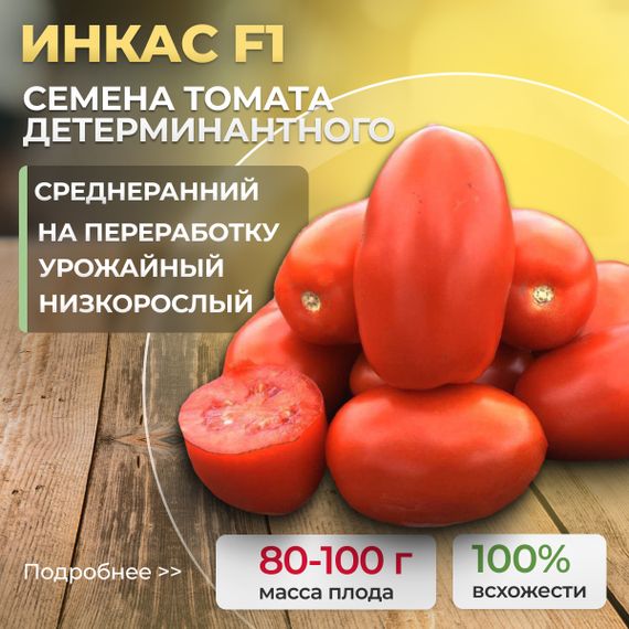 ИНКАС F1 семена томата Nunhems купить