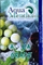 Aqua Mentha (Аква Мента) - Aqua Grape, 50 гр.