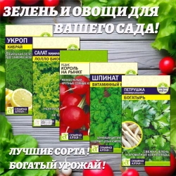 Зелень и овощи для Вашего сада
