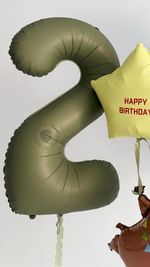 Воздушные шары Капибара для мальчика №9042