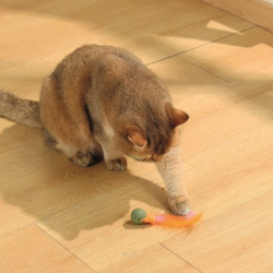 M-PETS Игрушка для кошек с кошачьей мятой CHARMY светлячок, цвет оранжевый