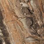 Керамогранит Primavera Richter Brown High Glossy 60x60 см (GR104)