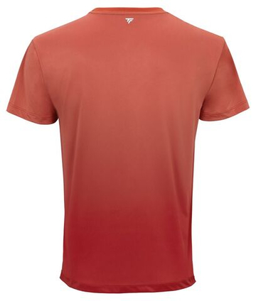 Мужская теннисная футболка Tecnifibre Team X-Loop - terracotta