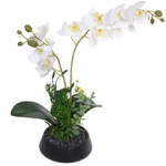 Цветочная композиция «Орхидея» 20*38см белая в керамическом горшке HL-15