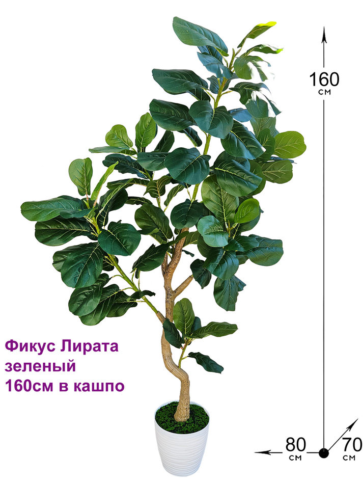 Искусственное растение Фикус Лирата зеленый 160см в кашпо