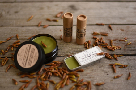 Тополиные почки, заживляющий бальзам