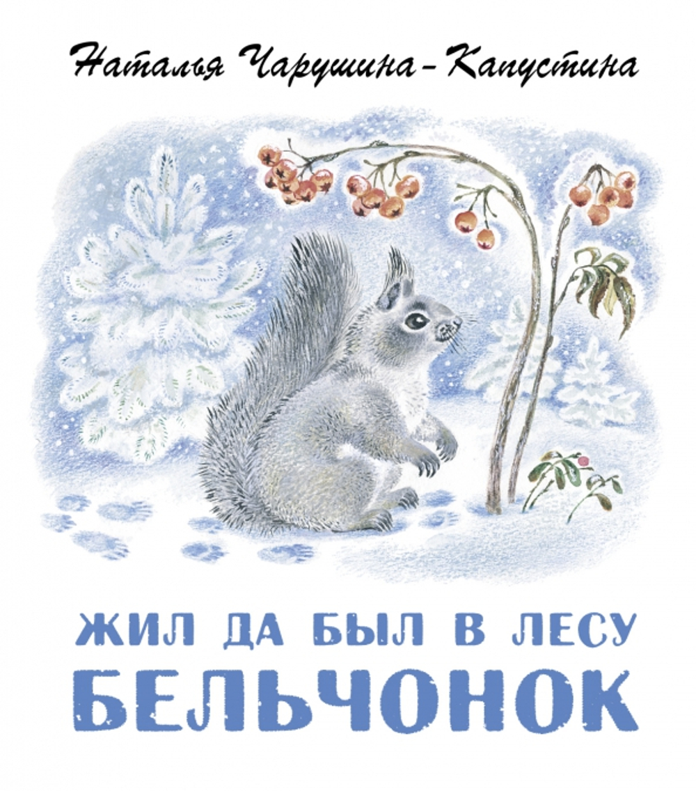Жил да был в лесу бельчонок