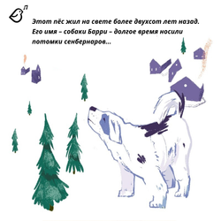 Сенбернар Бэрри. Спасатель в горах