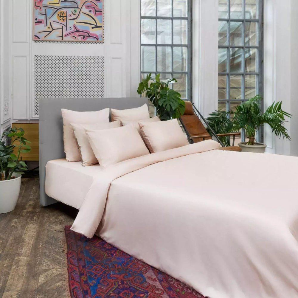 Постельное белье 2 спальное Mollen пудровое