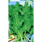 Семена Щавель Бабушкины пирожки 0,3гр (УД) Е/П