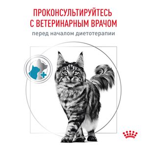 Корм для кастрированных/стерилизованных котов и кошек, Royal Canin Skin & Coat, повышенной чувствительностью кожи и шерсти