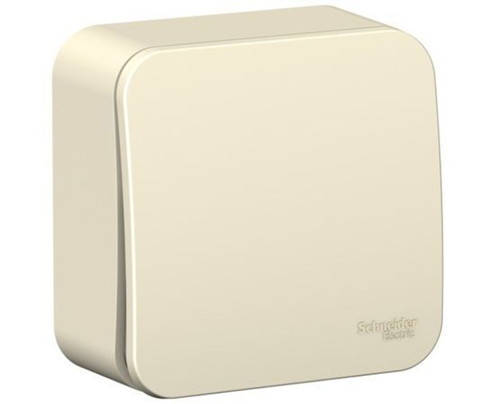 Выключатель одноклавишный BLANCA наружный (cхема 1), с изолирующей пластиной, 6А, 250В, молочный