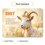 Магнит сувенирный 2027 символ года лови удачу