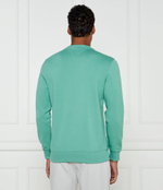 Худые TERRY Tommy Hilfiger - зеленый(MW0MW37237)