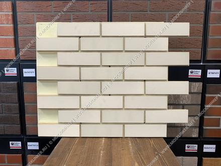 Клинкерная фасадная термопанель Регент ППУ Feldhaus Klinker R100NF9