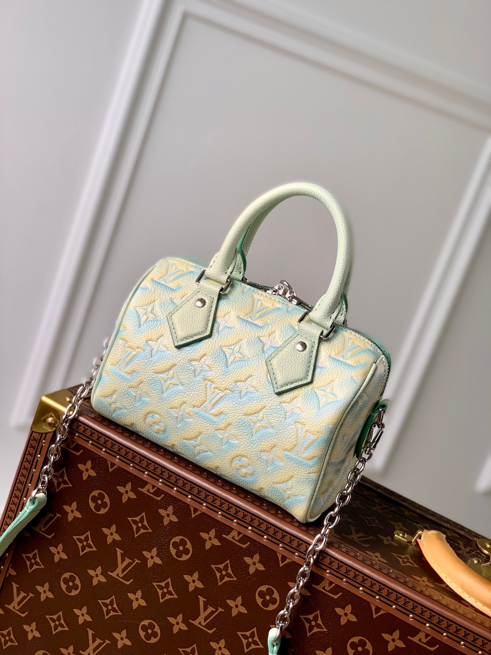Louis Vuitton Speedy 20