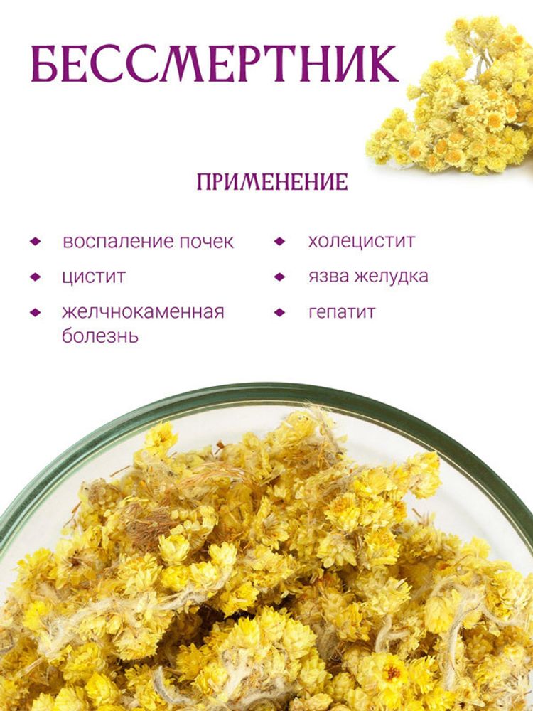 Бессмертник песчаный