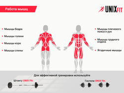 Скамья силовая со стойками UNIX Fit BENCH 120P