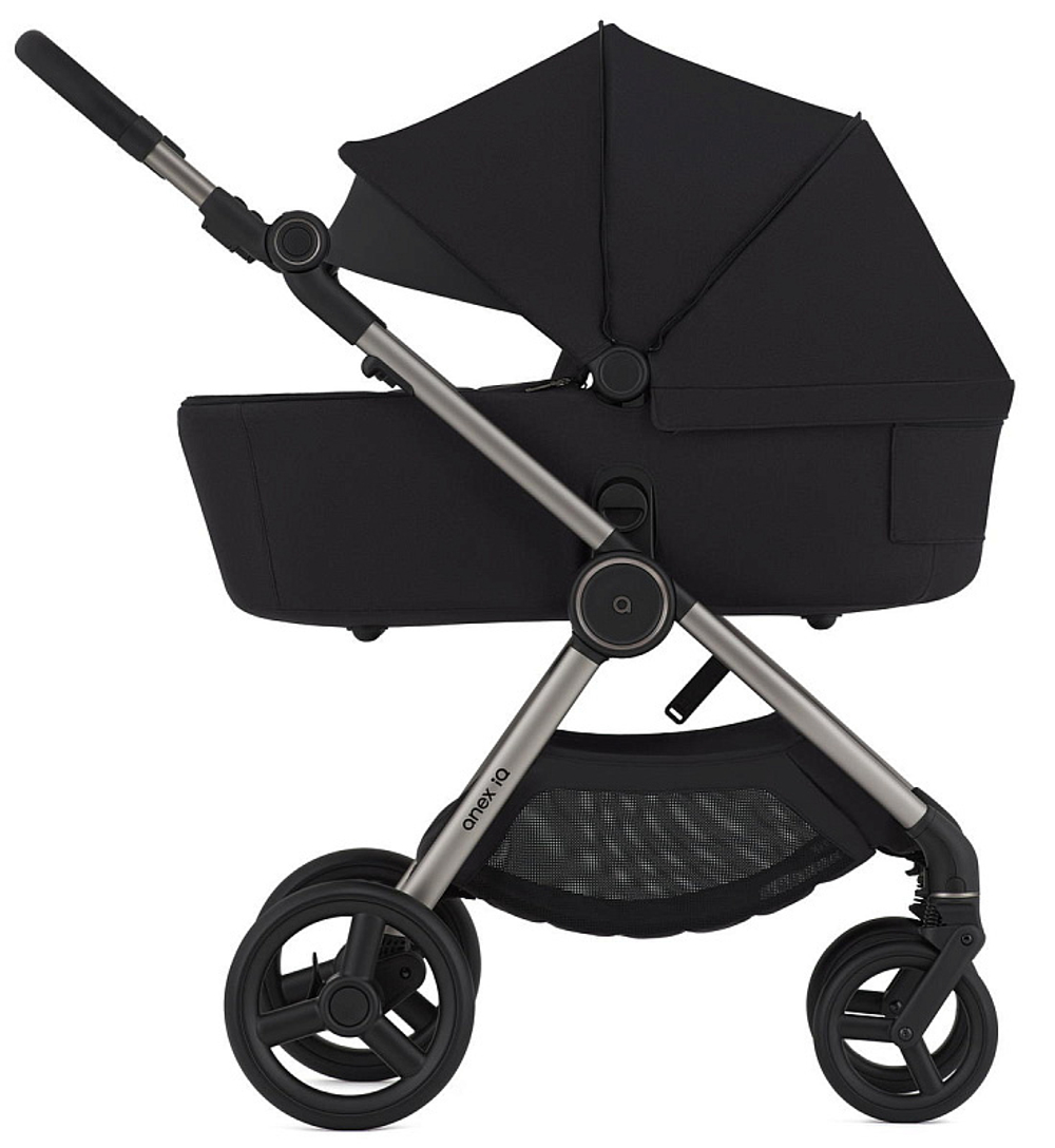 Детская коляска Anex iQ Premium NT 2 в 1 Darke